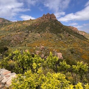 Like this post to be notified of shows!